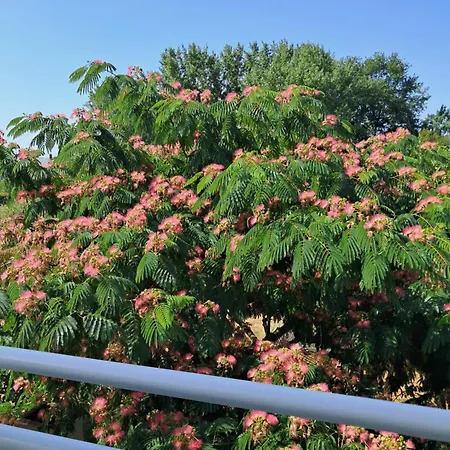 Loge'mans לינה וארוחת בוקר Rouillon