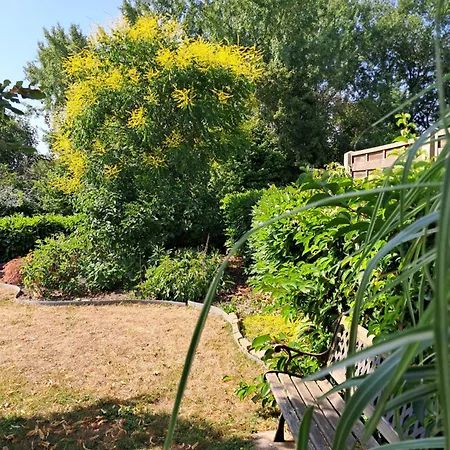 Loge'mans * Rouillon