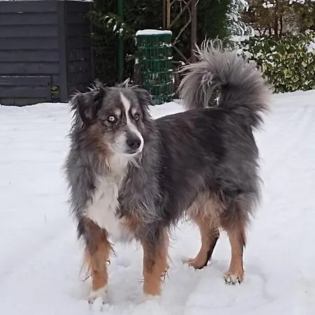 Loge'mans Bed & Breakfast Rouillon