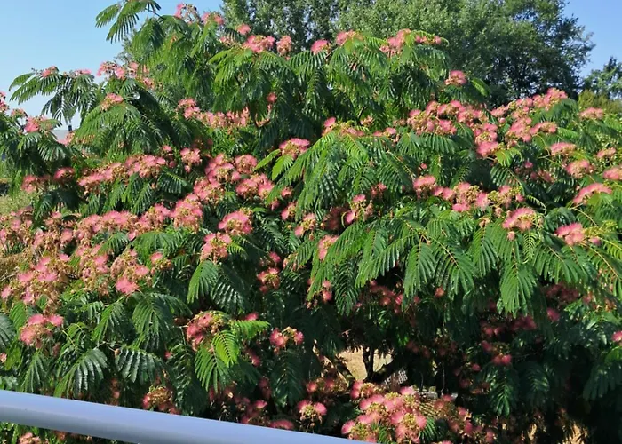 Loge'mans Nocleg ze śniadaniem Rouillon