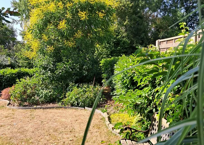 Loge'mans * Rouillon