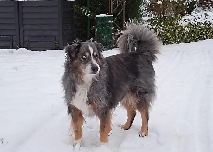 Loge'mans Nocleg ze śniadaniem Rouillon